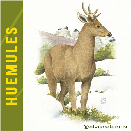 Categoría Huemules