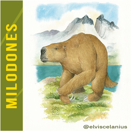 Categoría Milodones Mylodones