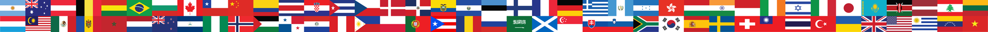 Patagonian International Marathon Event Flags
