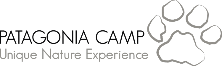 Logo de Patagonia Camp Horizontal